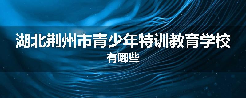 湖北荆州市青少年特训教育学校有哪些