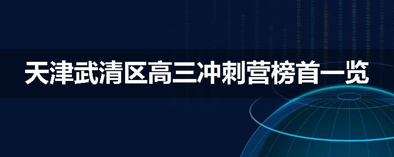 天津武清区高三冲刺营榜首一览