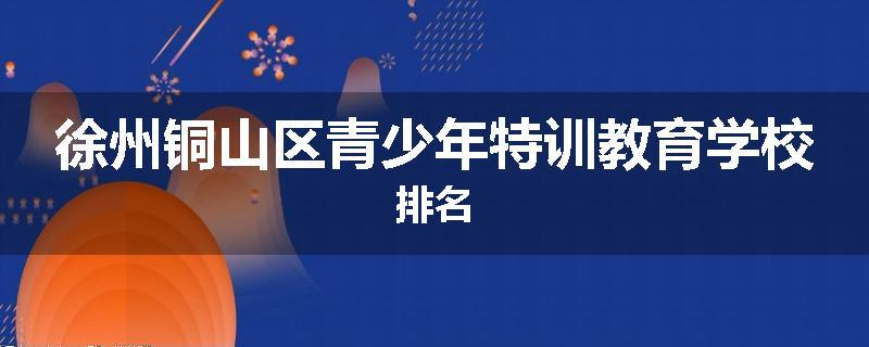徐州铜山区青少年特训教育学校排名