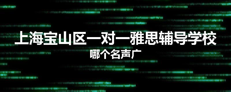 上海宝山区一对一雅思辅导学校哪个名声广