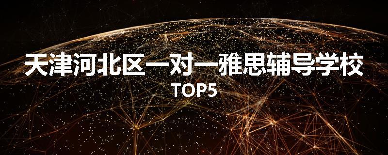 天津河北区一对一雅思辅导学校TOP5