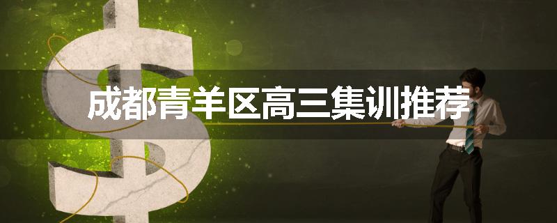 成都青羊区高三集训推荐
