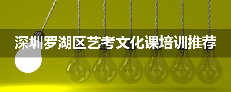 深圳罗湖区艺考文化课培训推荐
