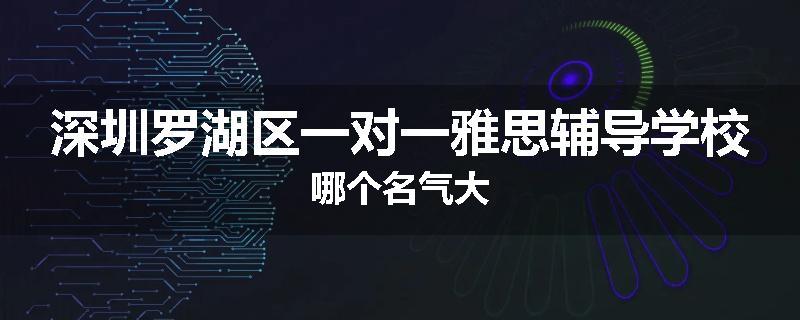 深圳罗湖区一对一雅思辅导学校哪个名气大