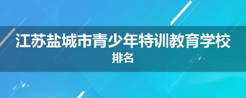 江苏盐城市青少年特训教育学校排名
