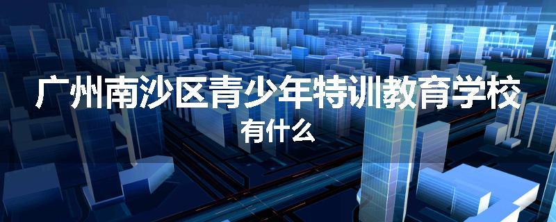 广州南沙区青少年特训教育学校有什么