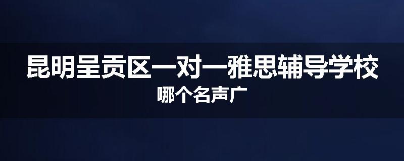 昆明呈贡区一对一雅思辅导学校哪个名声广