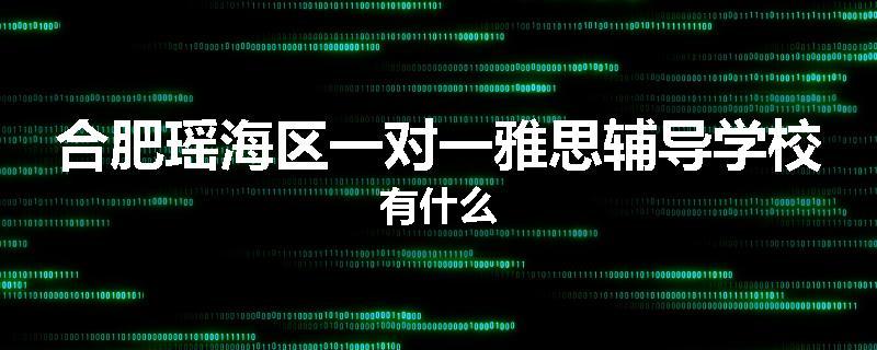 合肥瑶海区一对一雅思辅导学校有什么