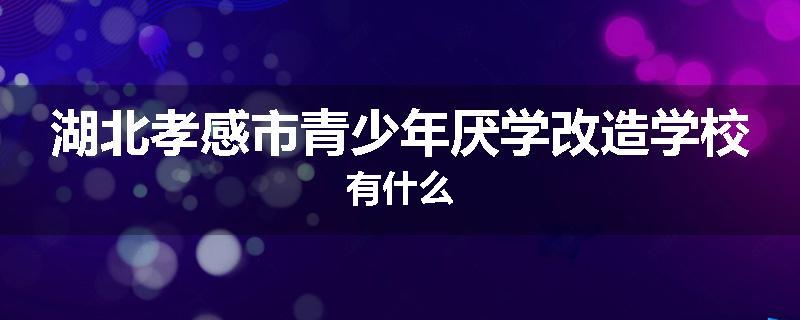 湖北孝感市青少年厌学改造学校有什么