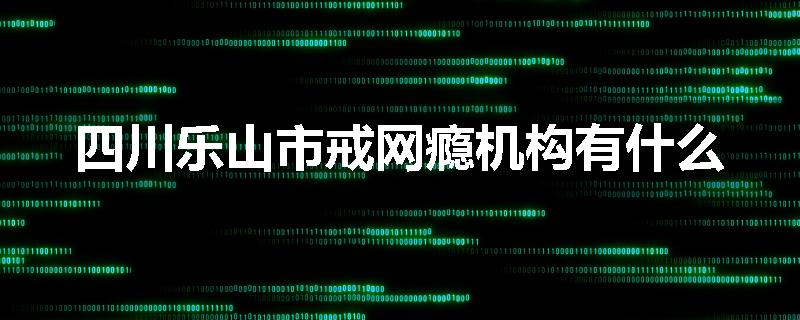 四川乐山市戒网瘾机构有什么