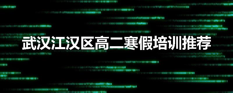 武汉江汉区高二寒假培训推荐