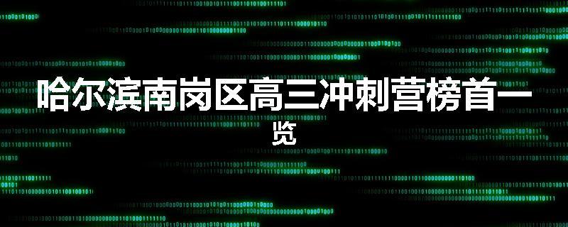 哈尔滨南岗区高三冲刺营榜首一览