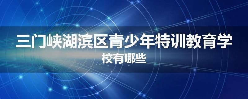 三门峡湖滨区青少年特训教育学校有哪些