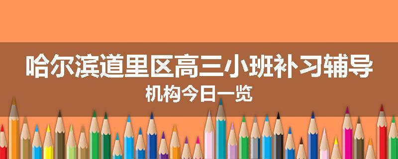 哈尔滨道里区高三小班补习辅导机构今日一览