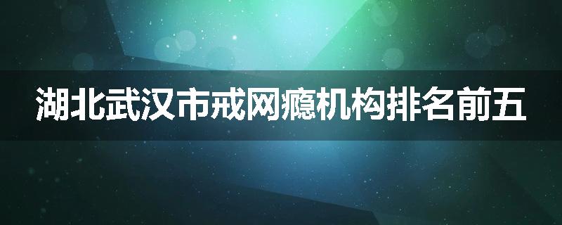 湖北武汉市戒网瘾机构排名前五