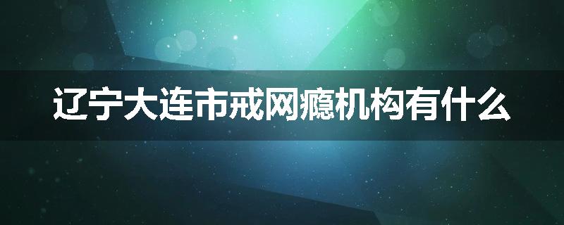 辽宁大连市戒网瘾机构有什么