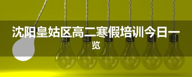 沈阳皇姑区高二寒假培训今日一览