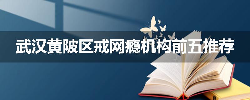 武汉黄陂区戒网瘾机构前五推荐