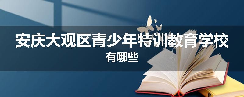安庆大观区青少年特训教育学校有哪些