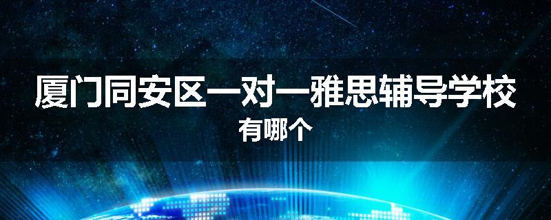 厦门同安区一对一雅思辅导学校有哪个