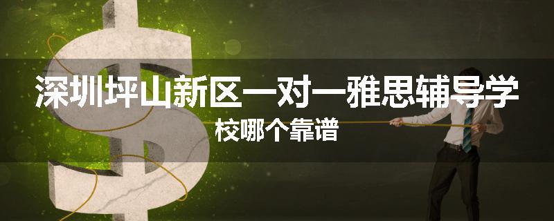 深圳坪山新区一对一雅思辅导学校哪个靠谱