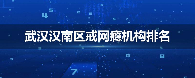 武汉汉南区戒网瘾机构排名