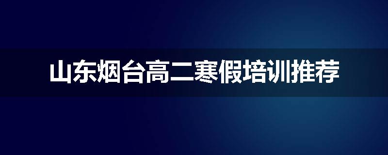 山东烟台高二寒假培训推荐
