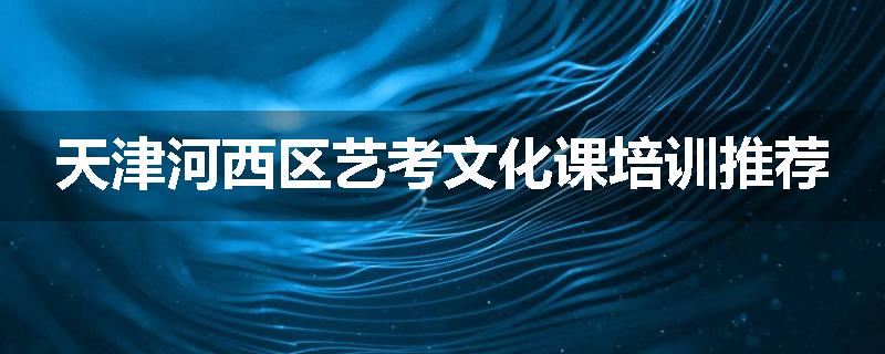 天津河西区艺考文化课培训推荐