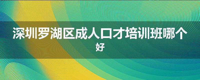 深圳罗湖区成人口才培训班哪个好