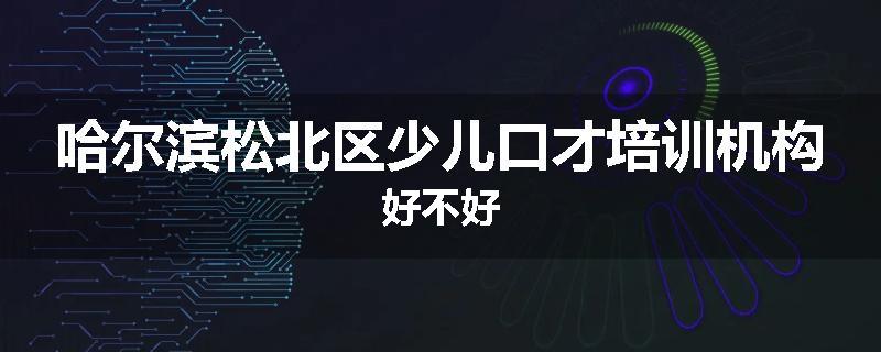 哈尔滨松北区少儿口才培训机构好不好