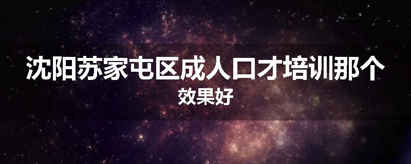 沈阳苏家屯区成人口才培训那个效果好