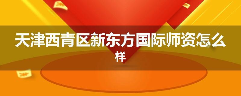 天津西青区新东方国际师资怎么样