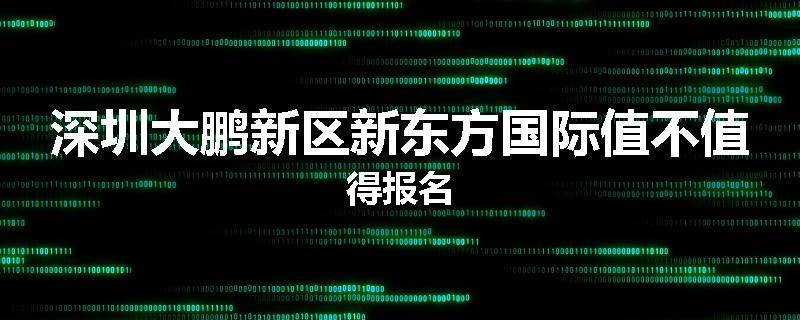 深圳大鹏新区新东方国际值不值得报名