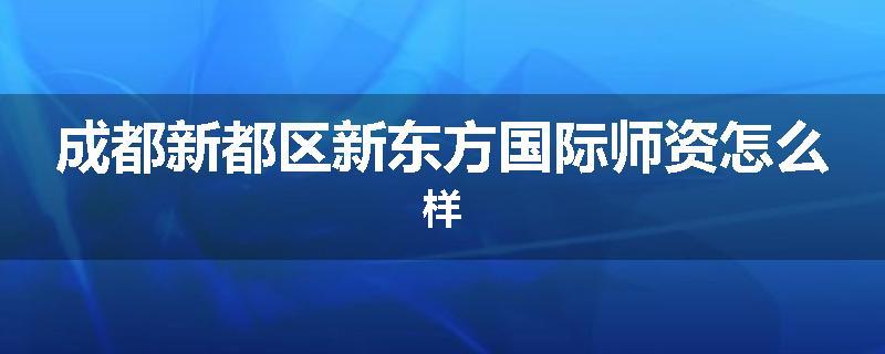 成都新都区新东方国际师资怎么样