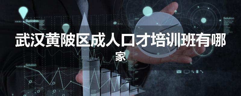 武汉黄陂区成人口才培训班有哪家