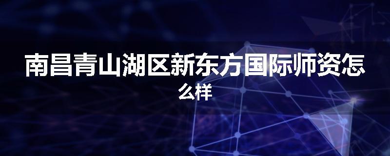 南昌青山湖区新东方国际师资怎么样