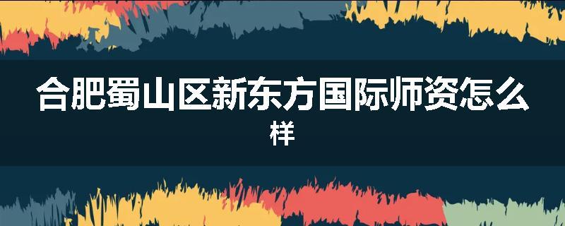 合肥蜀山区新东方国际师资怎么样