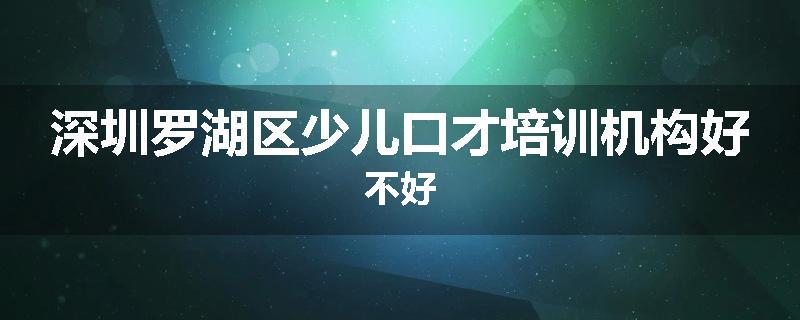 深圳罗湖区少儿口才培训机构好不好