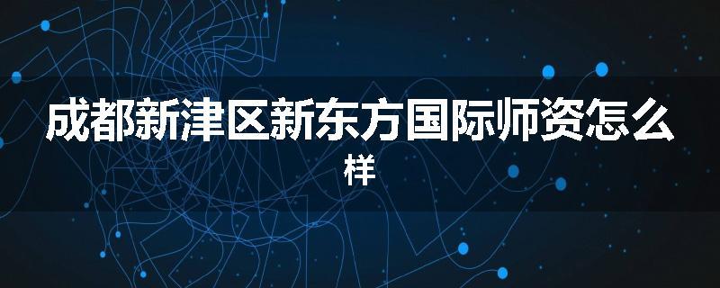 成都新津区新东方国际师资怎么样
