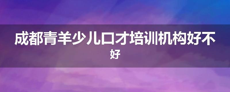 成都青羊少儿口才培训机构好不好