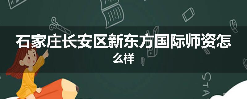 石家庄长安区新东方国际师资怎么样