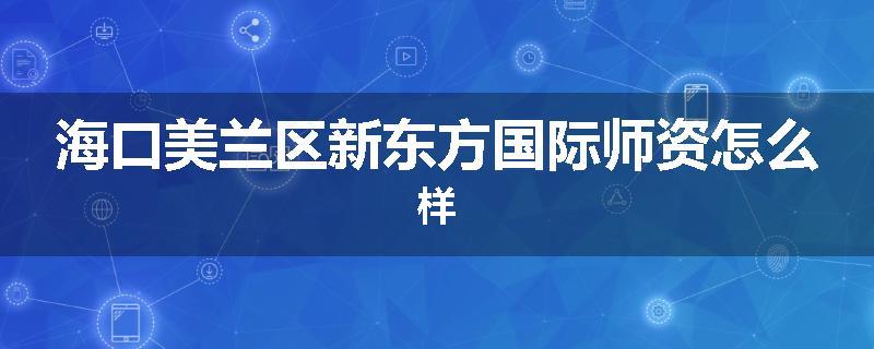 海口美兰区新东方国际师资怎么样
