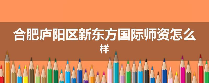 合肥庐阳区新东方国际师资怎么样