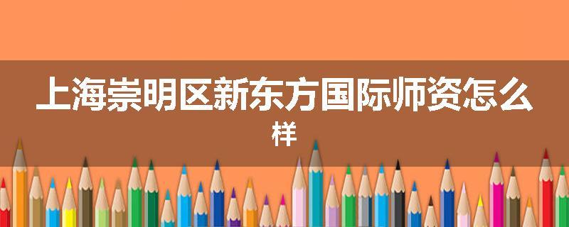 上海崇明区新东方国际师资怎么样