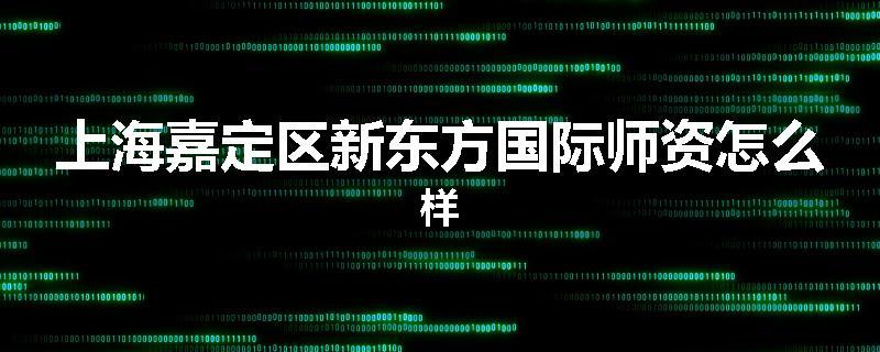 上海嘉定区新东方国际师资怎么样