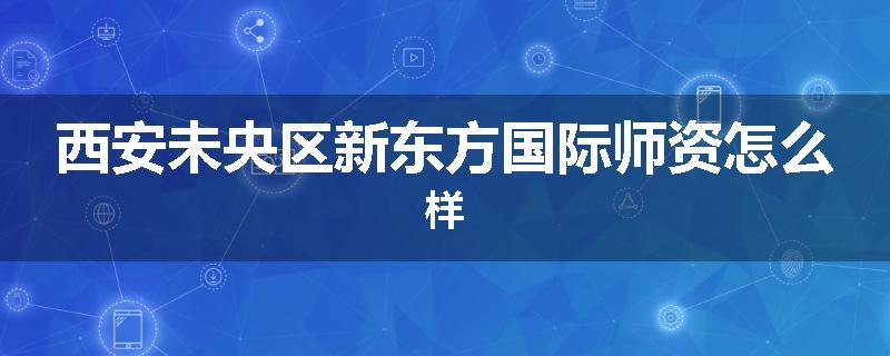 西安未央区新东方国际师资怎么样
