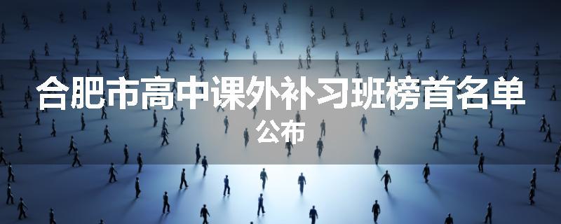 合肥市高中课外补习班榜首名单公布