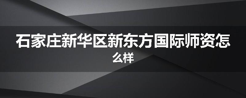 石家庄新华区新东方国际师资怎么样