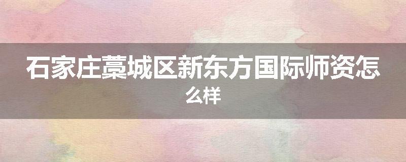 石家庄藁城区新东方国际师资怎么样