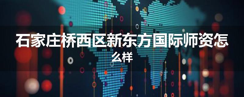 石家庄桥西区新东方国际师资怎么样